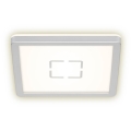 Briloner 3174-014 - LED Plafon FREE LED/12W/230V 19x19 cm