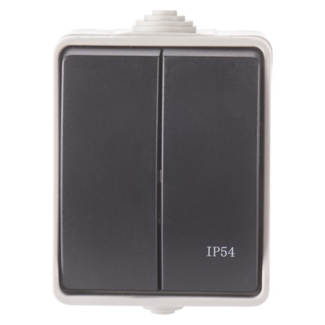 Domowy przełącznik szeregowy 250V/10A IP54
