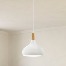 Eglo - Lampa wisząca 1xE27/60W/230V śr. 28 cm biała
