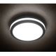 LED Oświetlenie zewnętrzne BENO LED/24W/230V IP54 szare