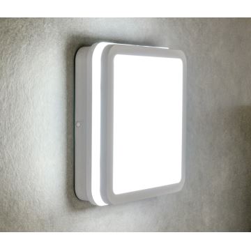 LED Oświetlenie zewnętrzne z czujnikiem BENO LED/24W/230V IP54 białe