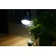 LED Lampa z klipsem CLIP LED/5W/5V 4000K