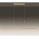 Paul Neuhaus 2568-60 - LED Żyrandol ściemnialny na lince ADRIANA LED/14W/230V  2700-5000K mosiądz