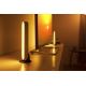 Philips - ZESTAW 2x LED Ściemnialna lampa stołowa Hue PLAY LED/6W/230V biała