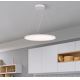 Westinghouse 65775 - LED Ściemnialny żyrandol na lince ATLER LED/40W/230V 60 cm