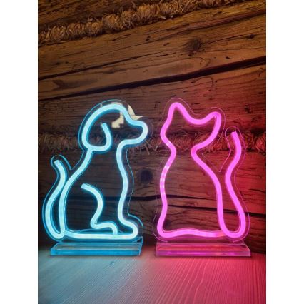 2Kids Toys - LED Neon stołowy dekoracja LED/5W/USB kot