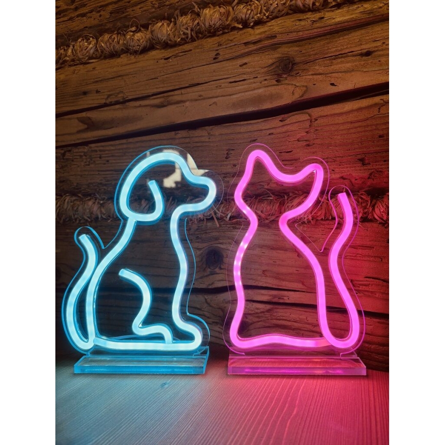 2Kids Toys - LED Neon stołowy dekoracja LED/5W/USB kot