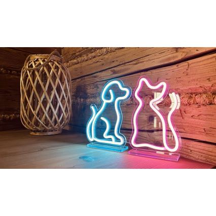 2Kids Toys - LED Neon stołowy dekoracja LED/5W/USB kot