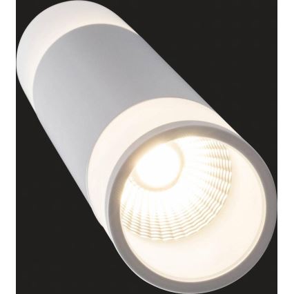 AEG - LED Żyrandol ściemnialny na lince ABBY LED/10W/230V