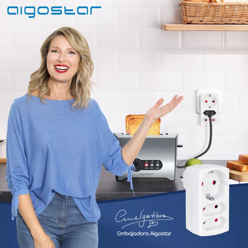 Aigostar - Gniazdo dystrybucyjne 1x16A/230V + 2x10A