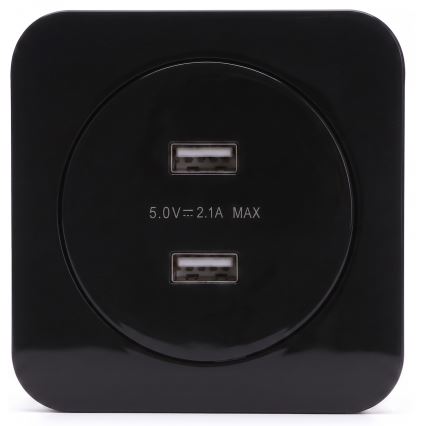 Aigostar - Gniazdo zasilające USB z ramką, 2x USB-A, czarne