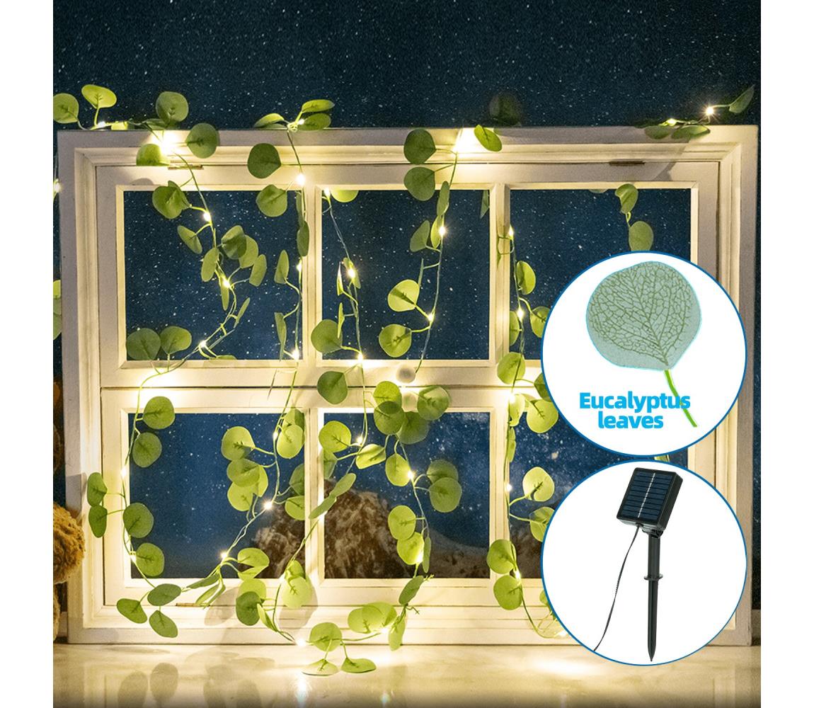 - LED Łańcuch solarny 100xLED/12m IP65 ciepła biel eukaliptus