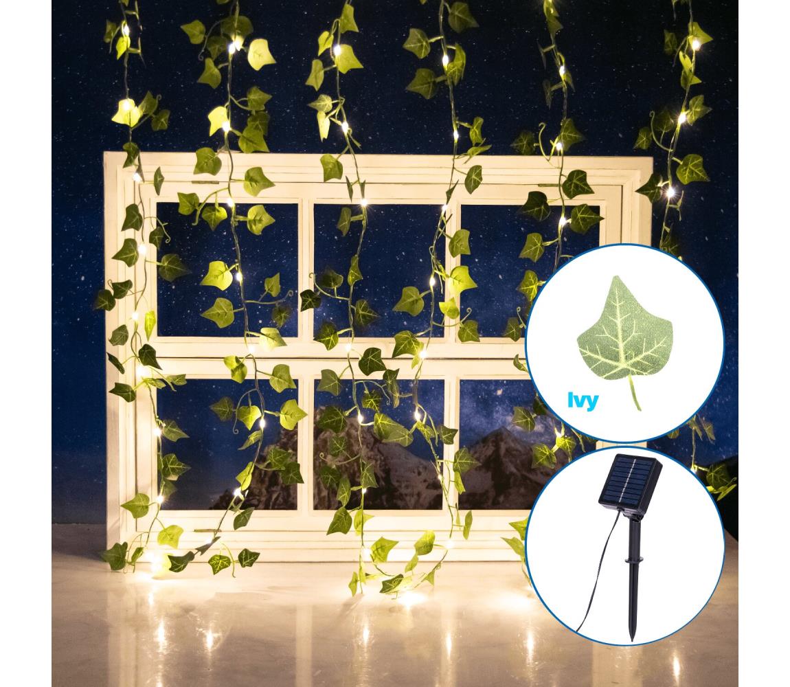 - LED Łańcuch solarny 70xLED/4x1m IP65 ciepła biel bluszcz