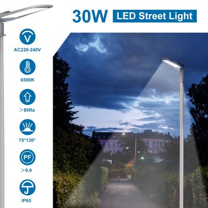 Aigostar - LED Lampa uliczna LED/30W/230V 6500K IP65