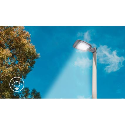 Aigostar - LED Lampa uliczna LED/30W/230V 6500K IP65