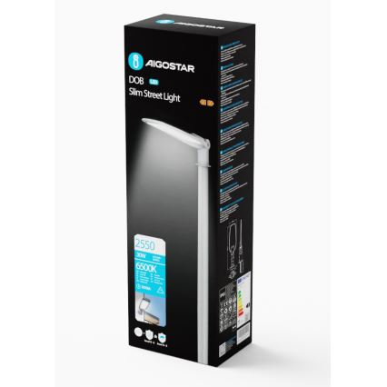 Aigostar - LED Lampa uliczna LED/30W/230V 6500K IP65