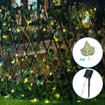 Aigostar - LED Łańcuch solarny 102xLED/2x0,7m IP65 ciepła biel bluszcz