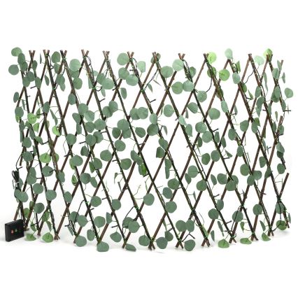 Aigostar - LED Łańcuch solarny 102xLED/2x0,7m IP65 ciepła biel eukaliptus