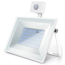 Aigostar - LED Naświetlacz z czujnikiem LED/50W/230V 6400K IP65 biały