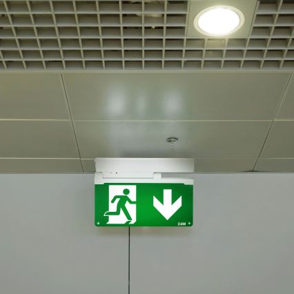 Aigostar - LED Oprawa awaryjna EMERGENCY EXIT LED/3,6W/230V 6500K 500mAh