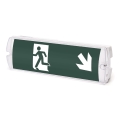 Aigostar - LED Oprawa awaryjna EMERGENCY EXIT LED/4W/230V IP65 6500K 600mAh