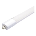Aigostar - LED Oświetlenie techniczne LED/18W/230V 6500K 60 cm IP65