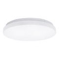 Aigostar - LED Plafon LED/24W/230V 3000K