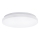 Aigostar - LED Plafon LED/24W/230V 3000K