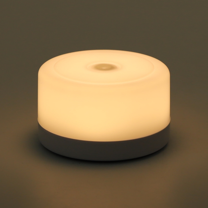 Aigostar - LED Przenośna lampka nocna LED/1W/5V 3000K + USB