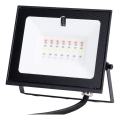 Aigostar - LED RGB ściemnialny reflektor LED/10W/230V IP65 + zdalne sterowanie