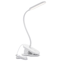 Aigostar - LED Ściemnialna lampa stołowa z klipsem LED/2,5W/5V biała