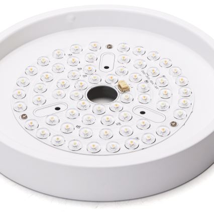 Aigostar - LED Ściemnialny wentylator sufitowy LED/24W/230V 2700-6500K śr. 165 cm + pilot zdalnego sterowania biały