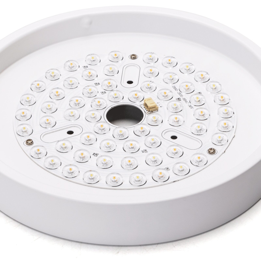 Aigostar - LED Ściemnialny wentylator sufitowy LED/24W/230V 2700-6500K śr. 165 cm + pilot zdalnego sterowania biały