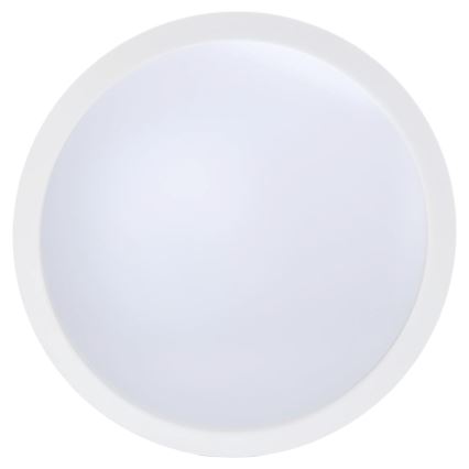 Aigostar - LED Ściemnialny wentylator sufitowy LED/50W/230V 2700-6500K śr. 106cm biały + pilot zdalnego sterowania