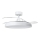 Aigostar - LED Ściemniany plafon z wentylatorem MESH LED/50W/230V 2700-6500K czarny + pilot zdalnego sterowania