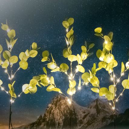 Aigostar - LED Solarna dekoracja 60xLED/3,5m IP65 ciepła biel eukaliptus