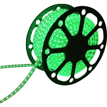 Aigostar - Taśma LED 50m LED/300W/230V IP65 zielona