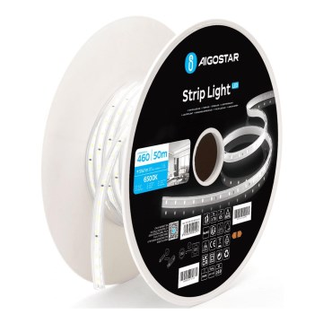 Aigostar - Taśma LED LED/250W/230V 50m 6500K IP65