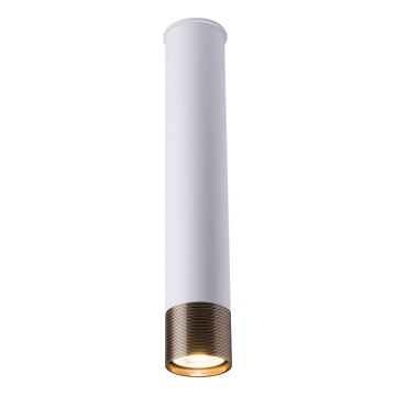 Amplex - Oprawa punktowa 1xGU10/10W/230V biała/złota