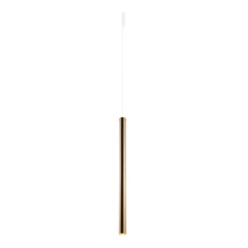 Amplex - Żyrandol na lince 1xGU10-MR11/15W/230V biała +/mosiądz