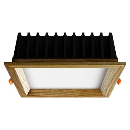 APLED - LED Oprawa wpuszczana SQUARE WOODLINE LED/12W/230V 3000K 17x17 cm popiół solidne drewno