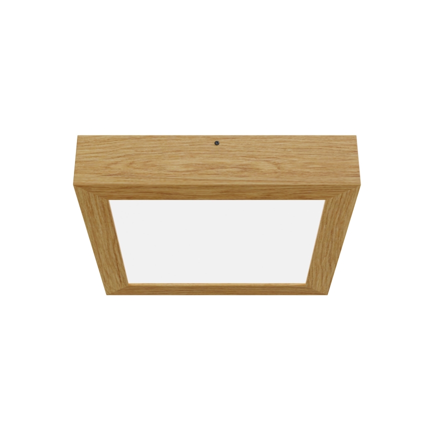 APLED - LED Plafon QUADRA LED/24W/230V dąb