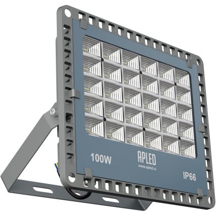 APLED - LED Reflektor zewnętrzny PRO LED/100W/230V IP66 10000lm 6000K