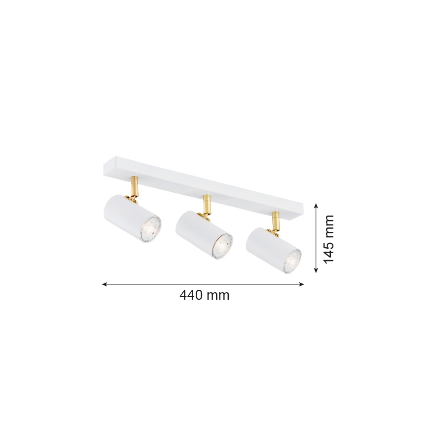 Argon 1475 - Oświetlenie punktowe LAGOS 3xGU10/5W/230V biel/złoto