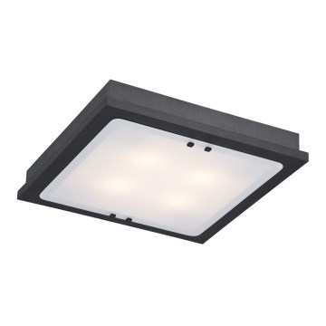 Argon 1583 - Lampa sufitowa TEQUILA 4xE27/60W/230V