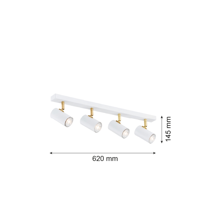 Argon 1689 - Oświetlenie punktowe LAGOS 4xGU10/5W/230V biel/złoto