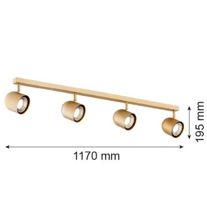 Argon 1810 - Oświetlenie punktowe ISOLA 4xGU10/5W/230V