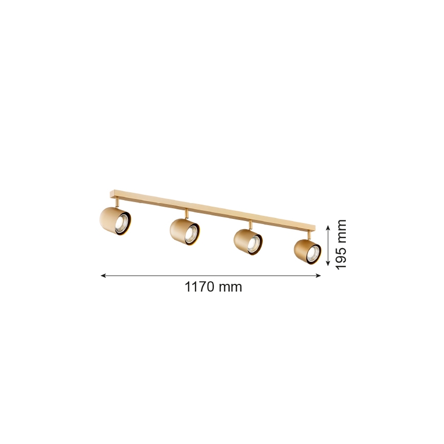 Argon 1810 - Oświetlenie punktowe ISOLA 4xGU10/5W/230V