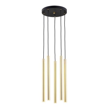Argon 2109 - LED Żyrandol na lince SICILIA 5xLED/4,5W/230V