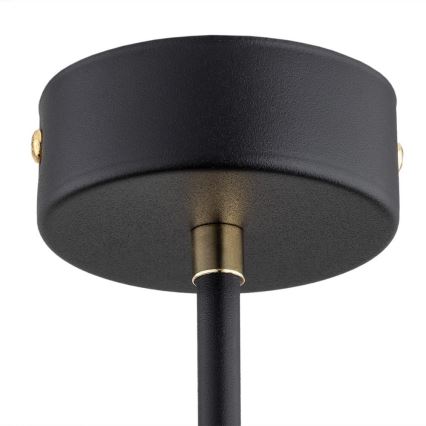 Argon 2128 - Lampa wisząca na pręcie RAVELLO 5xE14/15W/230V czarny/złoty